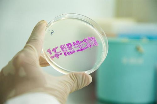 華熙生物2023年報(bào) 研發(fā)投入4.46億,以科技創(chuàng)新打造新質(zhì)生產(chǎn)力