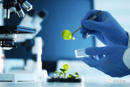 教育部統(tǒng)計(jì)數(shù)據(jù) 這8個專業(yè)的學(xué)生已經(jīng)嚴(yán)重飽和, 報(bào)考千萬要謹(jǐn)慎